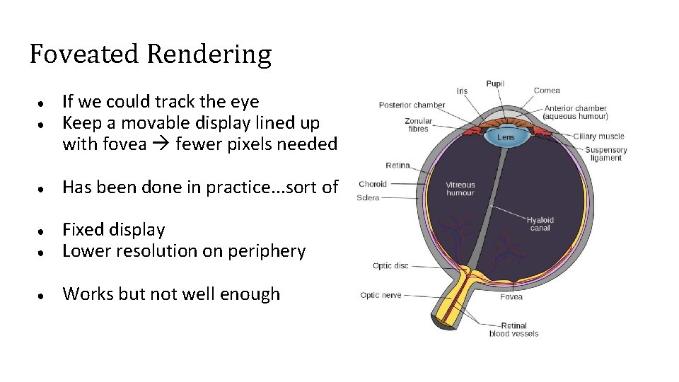 Foveated Rendering ● If we could track the eye Keep a movable display lined