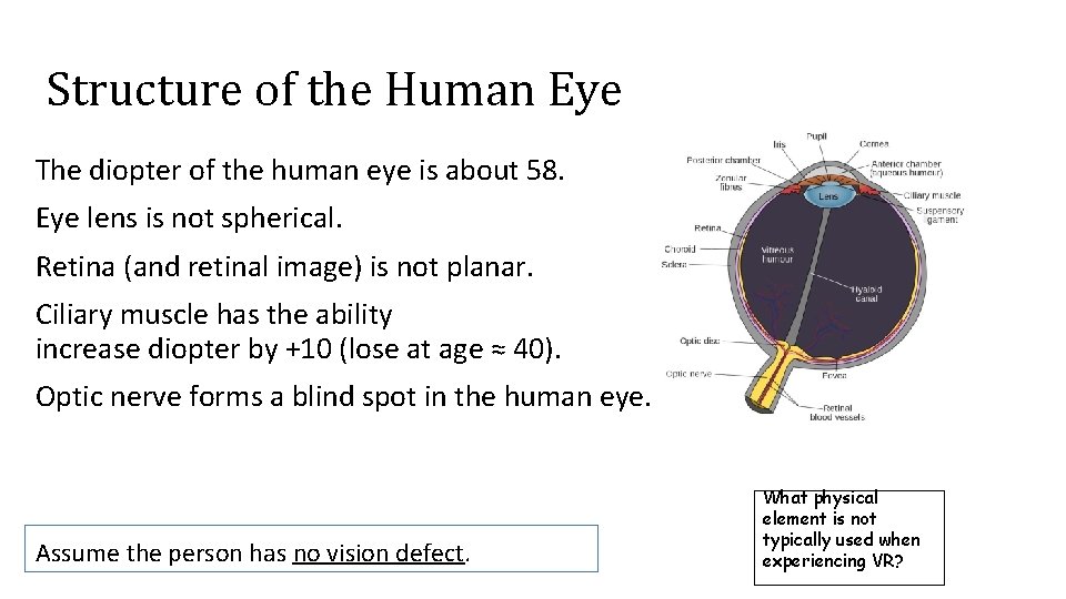 Structure of the Human Eye The diopter of the human eye is about 58.
