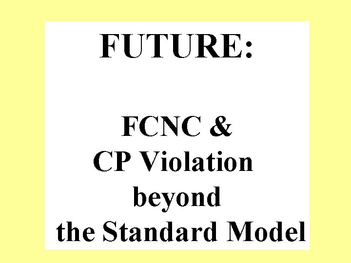 FUTURE: FCNC & CP Violation beyond the Standard Model 