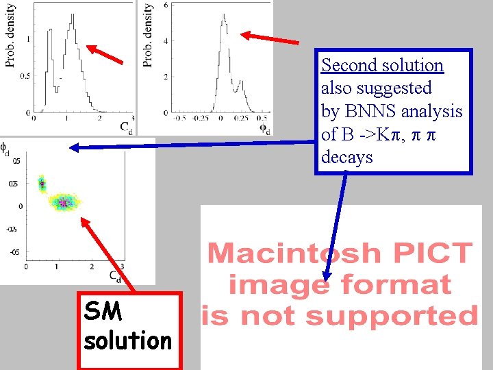 Second solution also suggested by BNNS analysis of B ->K , decays SM solution