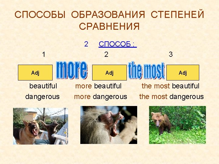 СПОСОБЫ ОБРАЗОВАНИЯ СТЕПЕНЕЙ СРАВНЕНИЯ 2 1 Adj beautiful dangerous СПОСОБ : 2 Adj more