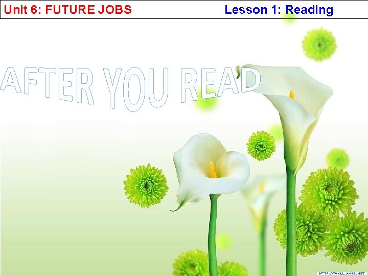 Unit 6: FUTURE JOBS Lesson 1: Reading 