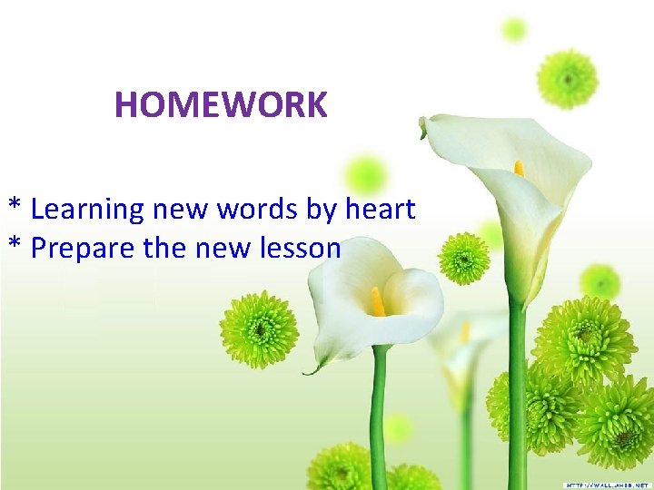 HOMEWORK * Learning new words by heart * Prepare the new lesson 