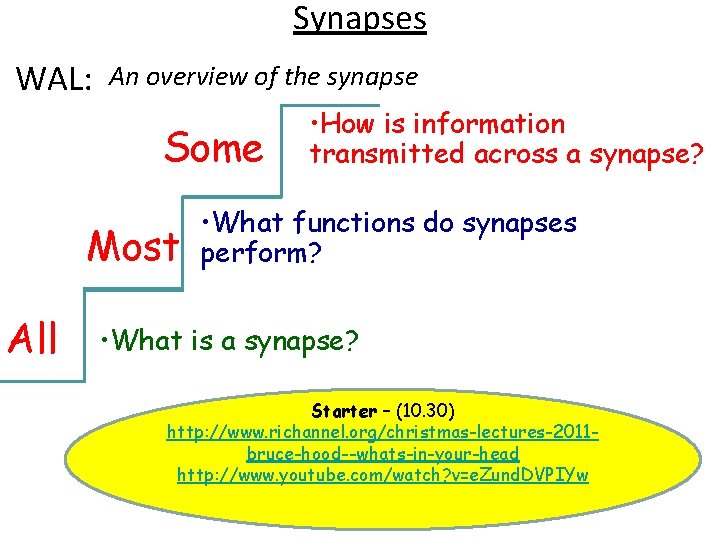 Synapses WAL: An overview of the synapse Some Most All • How is information