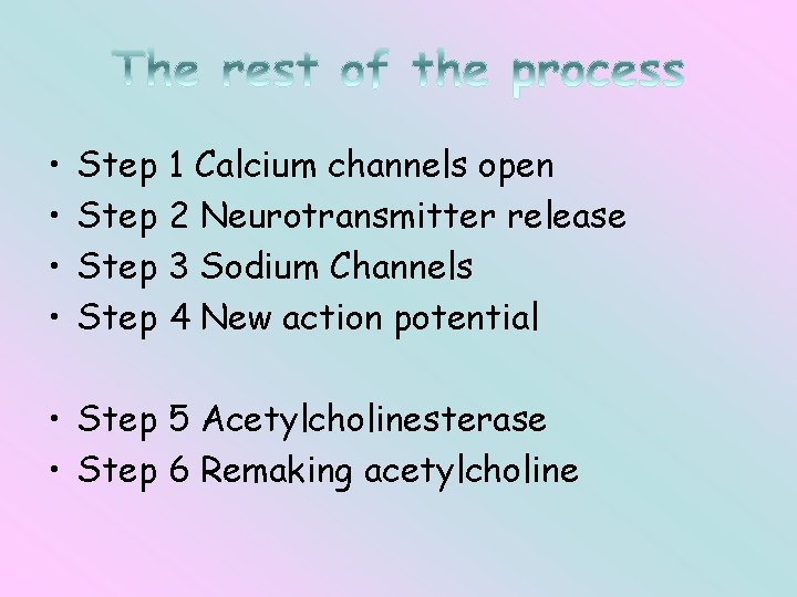  • • Step 1 Calcium channels open Step 2 Neurotransmitter release Step 3