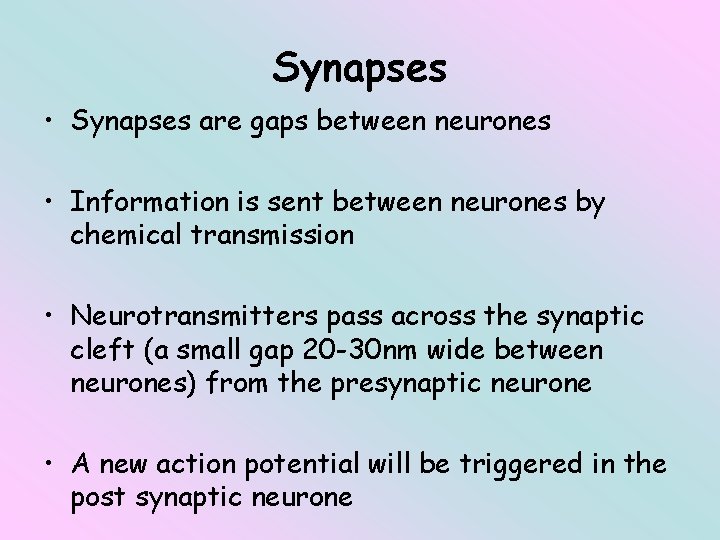 Synapses • Synapses are gaps between neurones • Information is sent between neurones by