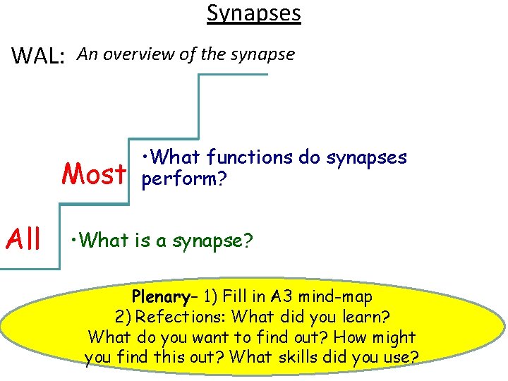 Synapses WAL: An overview of the synapse Most All • What functions do synapses