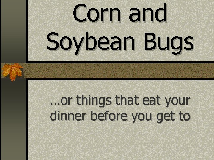 Corn and Soybean Bugs …or things that eat your dinner before you get to