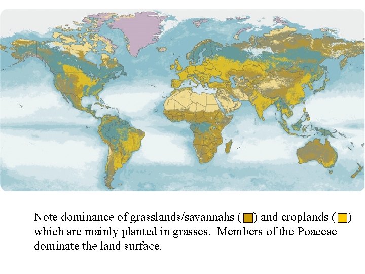 Note dominance of grasslands/savannahs ( ) and croplands ( ) which are mainly planted