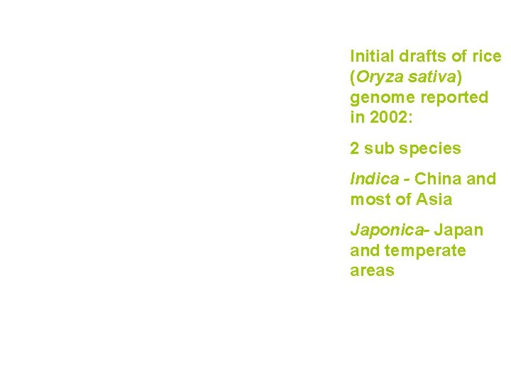 Initial drafts of rice (Oryza sativa) genome reported in 2002: 2 sub species Indica