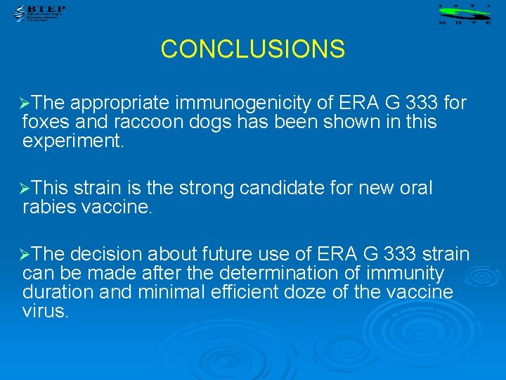 CONCLUSIONS ØThe appropriate immunogenicity of ERA G 333 for foxes and raccoon dogs has