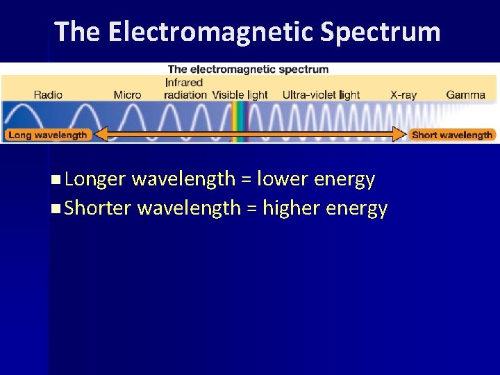 The Electromagnetic Spectrum n Longer wavelength = lower energy n Shorter wavelength = higher