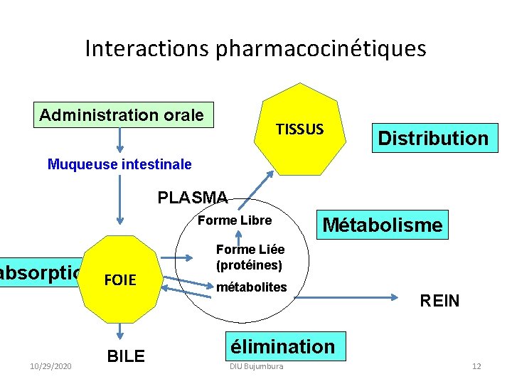 Interactions pharmacocinétiques Administration orale TISSUS Distribution Muqueuse intestinale PLASMA Forme Libre absorption FOIE 10/29/2020