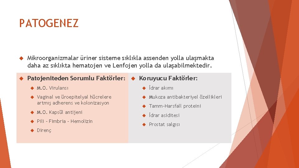 PATOGENEZ Mikroorganizmalar üriner sisteme sıklıkla assenden yolla ulaşmakta daha az sıklıkta hematojen ve Lenfojen