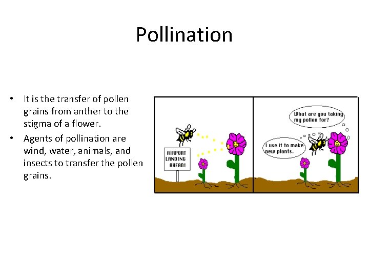 Pollination • It is the transfer of pollen grains from anther to the stigma