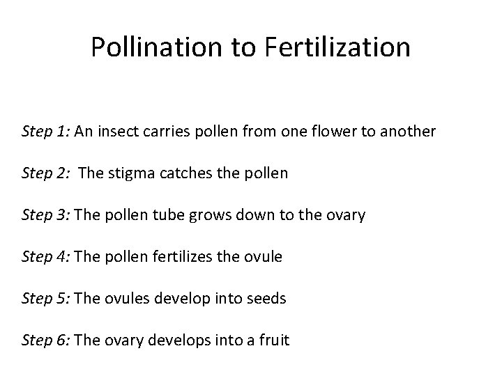 Pollination to Fertilization Step 1: An insect carries pollen from one flower to another