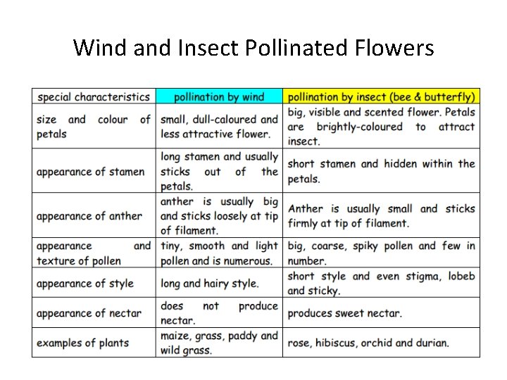 Wind and Insect Pollinated Flowers 