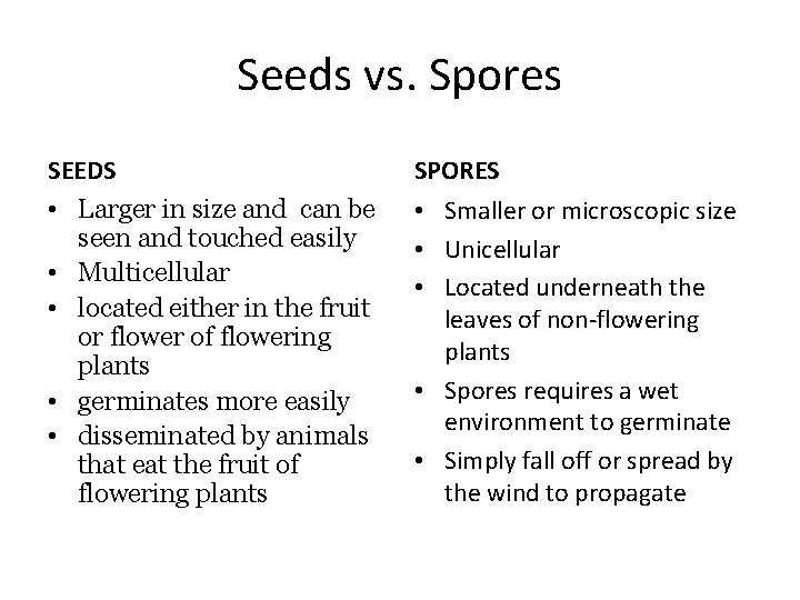 Seeds vs. Spores SEEDS • Larger in size and can be seen and touched