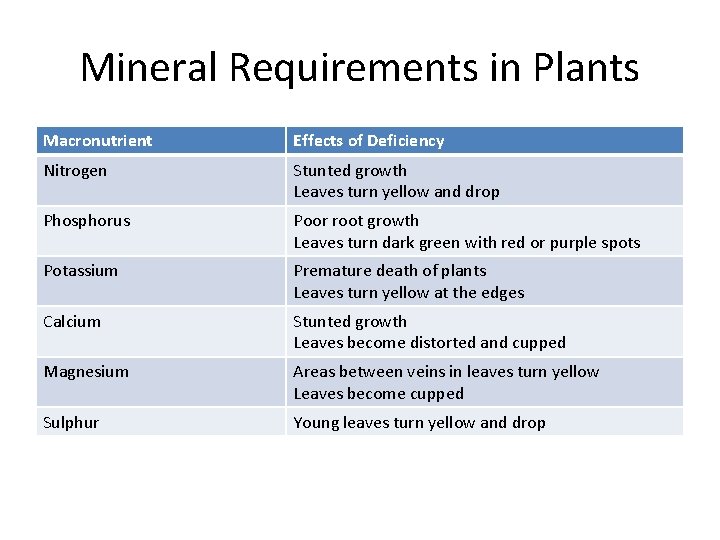 Mineral Requirements in Plants Macronutrient Effects of Deficiency Nitrogen Stunted growth Leaves turn yellow