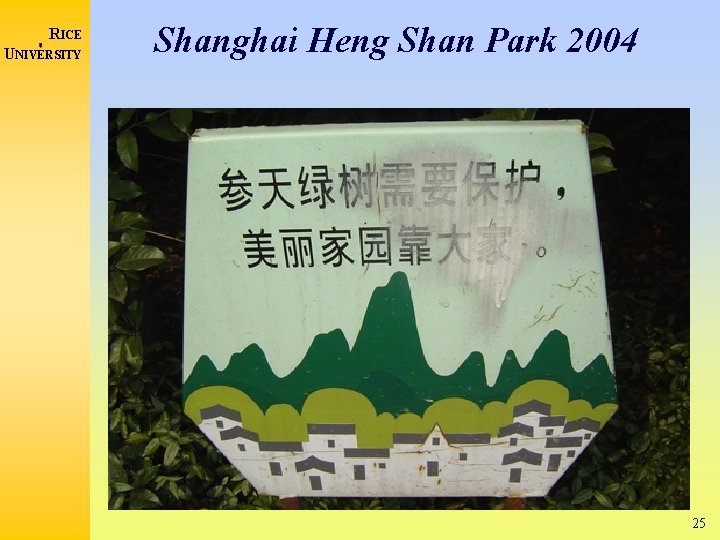 RICE UNIVERSITY Shanghai Heng Shan Park 2004 25 