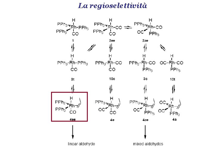 La regioselettività 