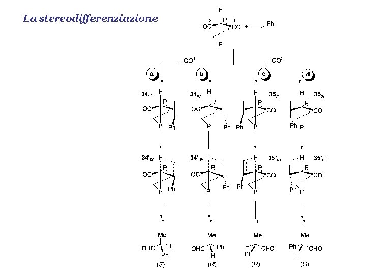 La stereodifferenziazione 