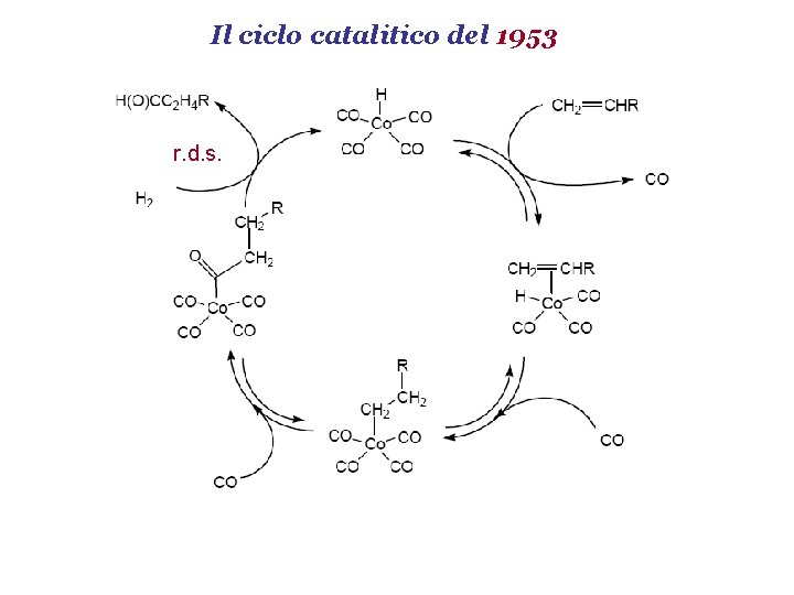 Il ciclo catalitico del 1953 r. d. s. 