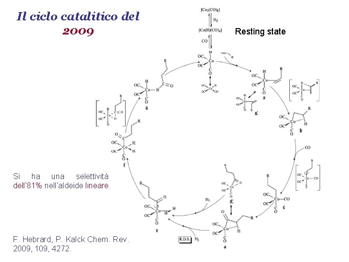 Il ciclo catalitico del 2009 Si ha una selettività dell’ 81% nell’aldeide lineare. F.