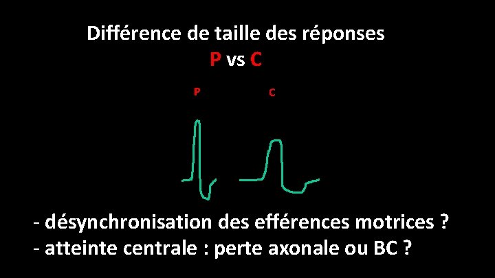 Différence de taille des réponses P vs C P C - désynchronisation des efférences