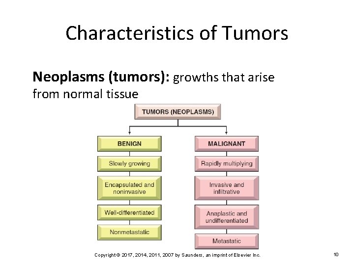 Characteristics of Tumors Neoplasms (tumors): growths that arise from normal tissue Copyright © 2017,