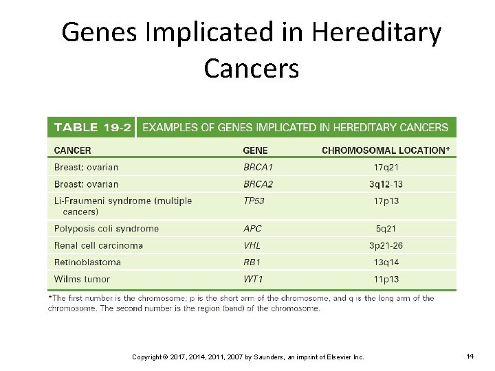 Genes Implicated in Hereditary Cancers Copyright © 2017, 2014, 2011, 2007 by Saunders, an