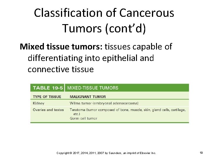 Classification of Cancerous Tumors (cont’d) Mixed tissue tumors: tissues capable of differentiating into epithelial