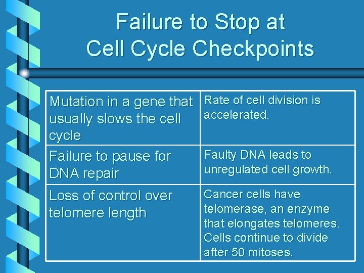 Failure to Stop at Cell Cycle Checkpoints Mutation in a gene that usually slows
