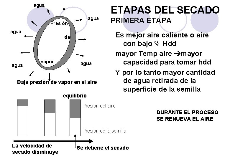 agua ETAPAS DEL SECADO agua Presión agua de vapor agua Baja presión de vapor