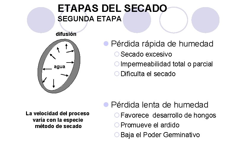ETAPAS DEL SECADO SEGUNDA ETAPA difusión l Pérdida rápida de humedad agua ¡ Secado