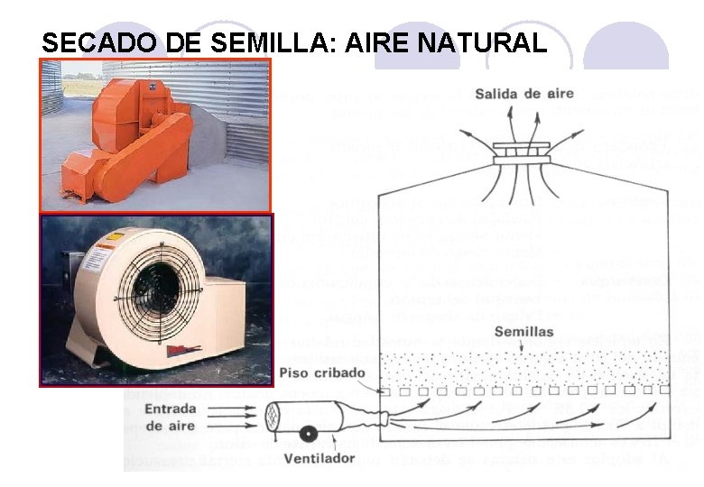 SECADO DE SEMILLA: AIRE NATURAL 