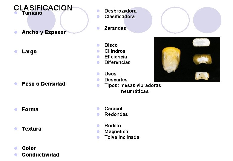 CLASIFICACION l Tamaño l Ancho y Espesor l Desbrozadora l Clasificadora l Zarandas l