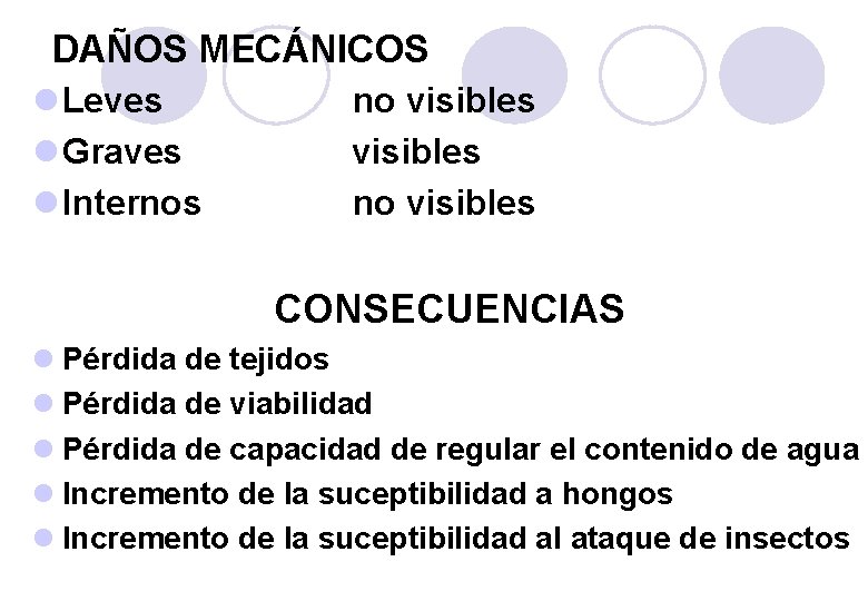 DAÑOS MECÁNICOS l Leves no visibles l Graves visibles l Internos no visibles CONSECUENCIAS