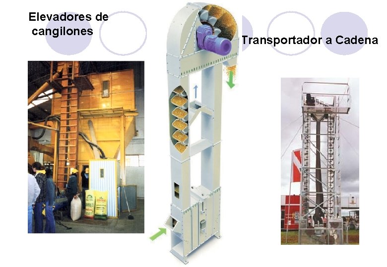 Elevadores de cangilones Transportador a Cadena 