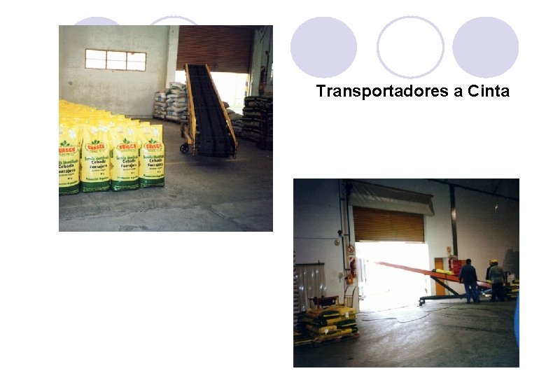 Transportadores a Cinta 