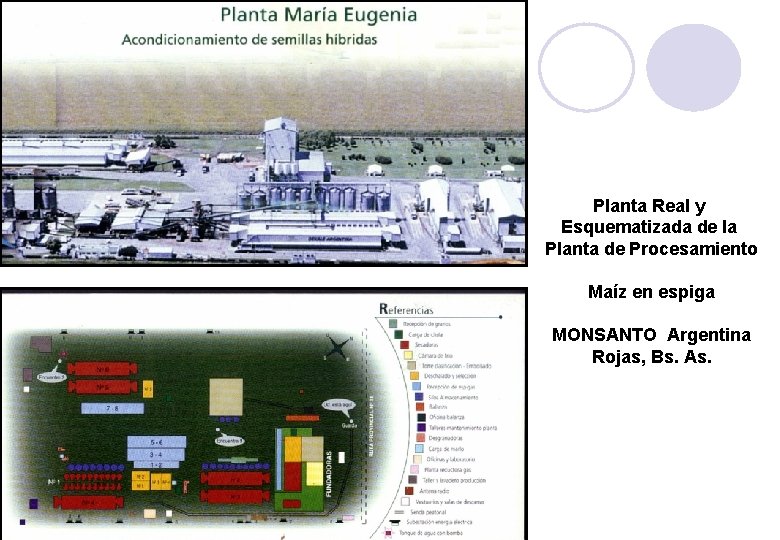 Planta Real y Esquematizada de la Planta de Procesamiento Maíz en espiga MONSANTO Argentina