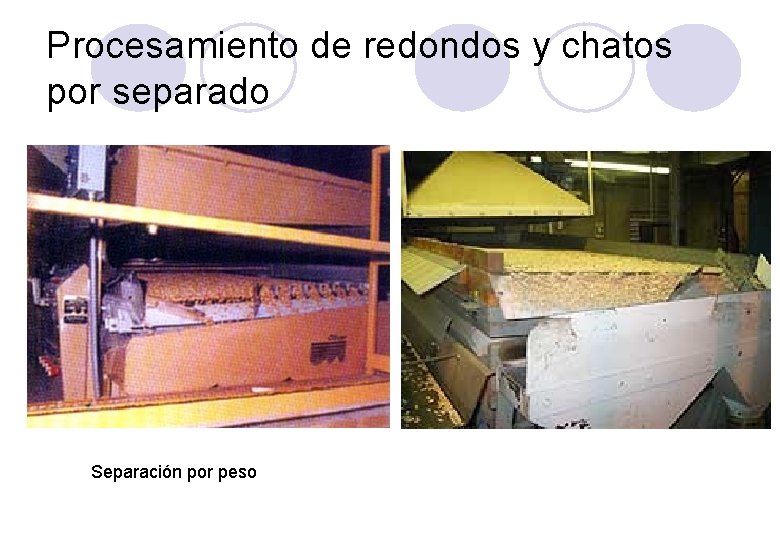 Procesamiento de redondos y chatos por separado Separación por peso 