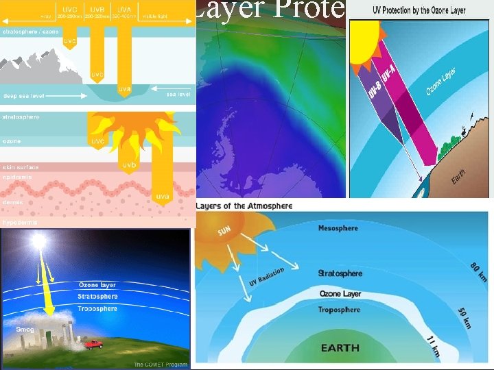 The Ozone Layer Protects Life The Ozone Layer Protects Life