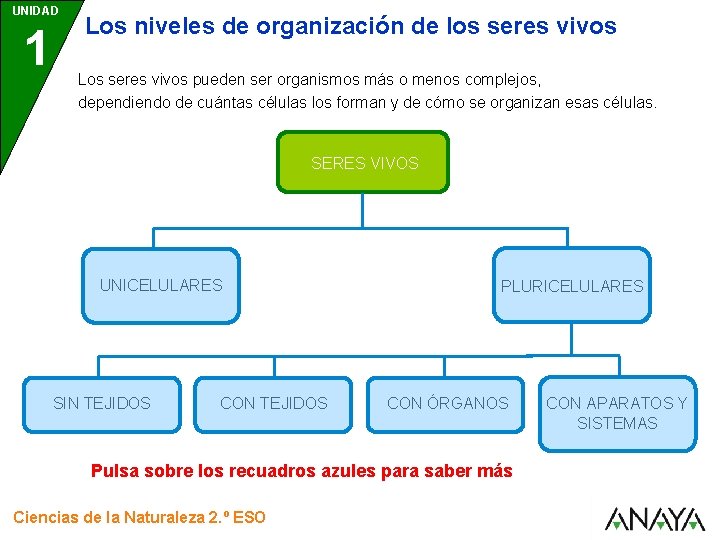 UNIDAD 1 Los niveles de organización de los seres vivos Los seres vivos pueden