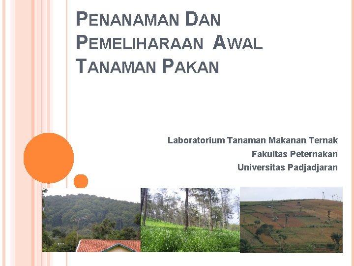 PENANAMAN DAN PEMELIHARAAN AWAL TANAMAN PAKAN Laboratorium Tanaman Makanan Ternak Fakultas Peternakan Universitas Padjadjaran
