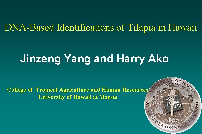 DNA-Based Identifications of Tilapia in Hawaii Jinzeng Yang and Harry Ako College of Tropical