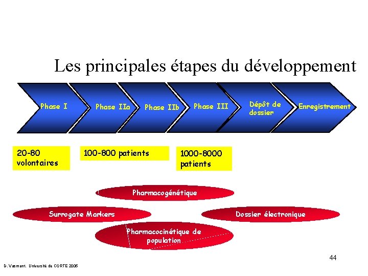 Les principales étapes du développement Phase I 20 -80 volontaires Phase IIa Phase IIb