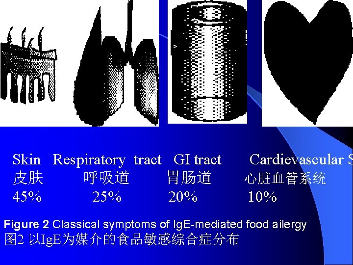 Skin Respiratory tract GI tract 皮肤 呼吸道 胃肠道 45% 20% Cardievascular S 心脏血管系统 10%