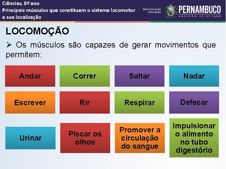 Ciências, 8º ano Principais músculos que constituem o sistema locomotor e sua localização LOCOMOÇÃO