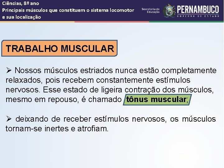 Ciências, 8º ano Principais músculos que constituem o sistema locomotor e sua localização TRABALHO